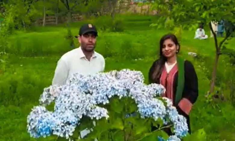 भारत की अंजू ने पाक एफबी दोस्त से की शादी;  कपल का 'प्री-वेडिंग' वीडियो वायरल!